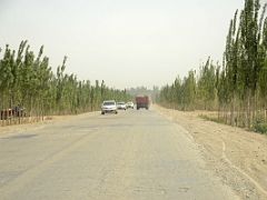07 Tree Lined Road As The Drive From Kashgar Nears Yarkand